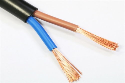 江山kvvp2 22控制電纜品牌 特性、應(yīng)用與市場地位解析