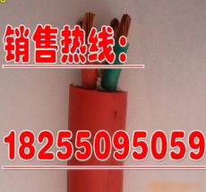 天長(zhǎng)市康泰儀表電纜廠(chǎng) 高品質(zhì)控制電纜的卓越之選